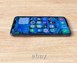 Apple iPhone XS Max 256GB Space Grey (Unlocked) Pristine Condition (AS N E W)