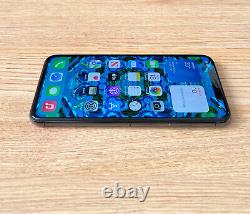 Apple iPhone XS Max 256GB Space Grey (Unlocked) Pristine Condition (AS N E W)