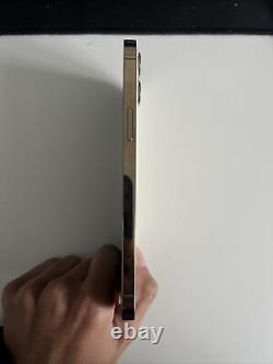 Iphone 12 pro max 256gb unlocked Gold- Great Condition